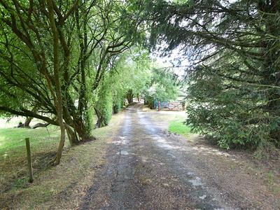 Picture 32